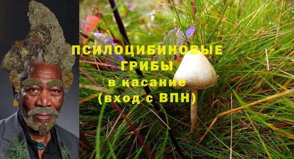 МДПВ Алексеевка