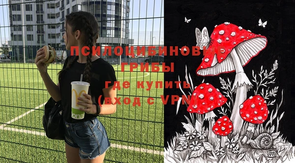 2c-b Покачи
